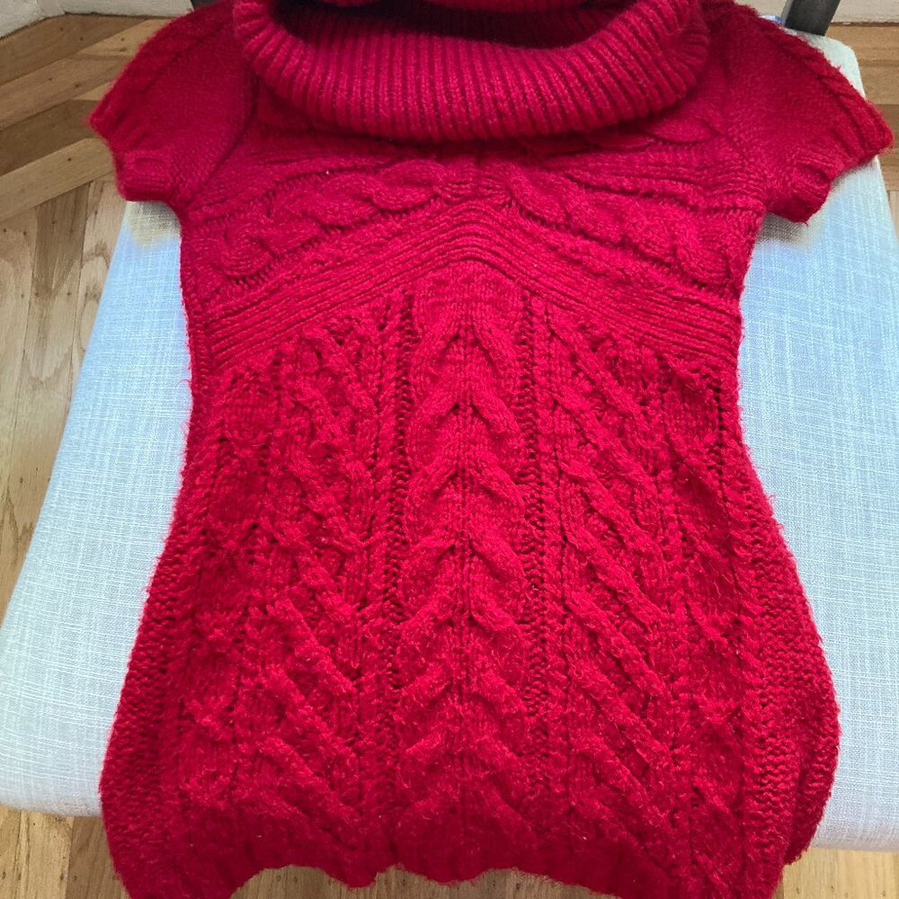 BCBG Cowl Neck Sweater